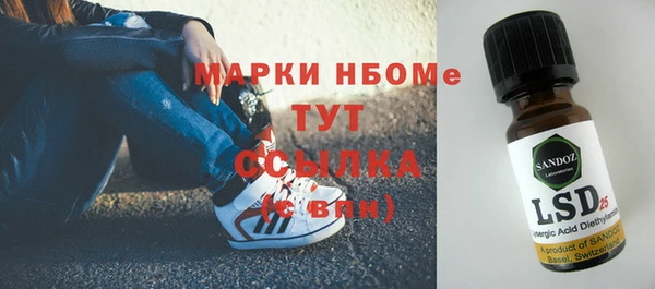 эйфоретик Новокубанск