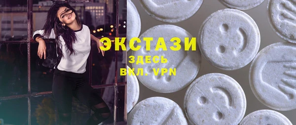 мет Няндома