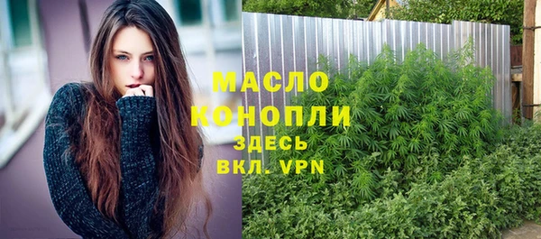 мет Няндома