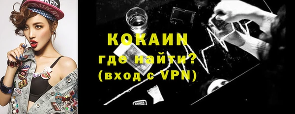 мет Няндома