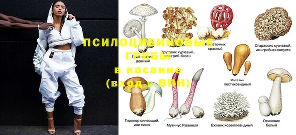 дурь Горно-Алтайск