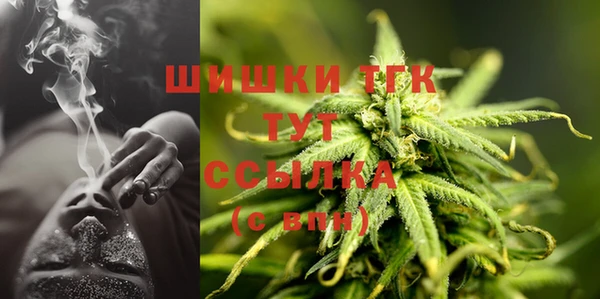 мет Няндома