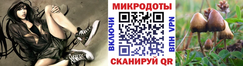 Галлюциногенные грибы Cubensis Кувшиново