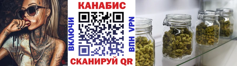Марихуана сатива  кракен ССЫЛКА  Кувшиново 